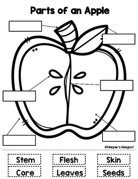 All About Apples Learning Packet by Harper's Hangout | TPT