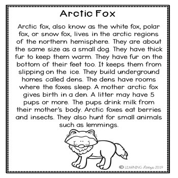 All About Arctic Fox by Learning Loops | Teachers Pay Teachers