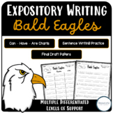 All About BALD EAGLES | INFORMATIONAL WRITING | DIFFERENTI