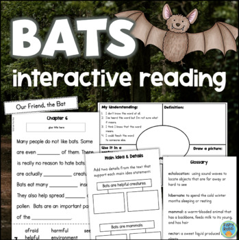 Preview of BATS Nonfiction Reading Comprehension Passages Main Idea Text Features Activity
