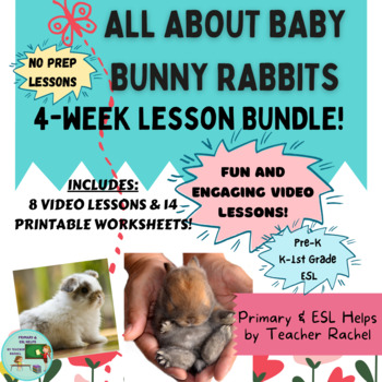 Preview of All About Baby Bunny Rabbits No Prep Unit