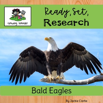 Preview of All About Bald Eagles (Nonfiction Informational Writing Animal Research Project)