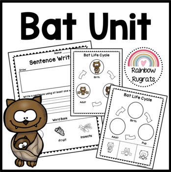 Preview of Kindergarten Bat Life Cycle Activities
