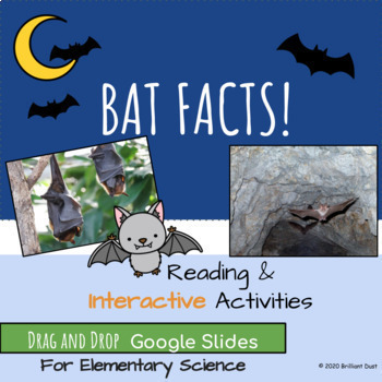 Preview of All About Bats | Halloween Reading and Google Slides
