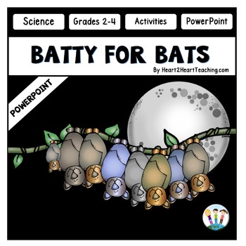 Preview of All About Bats Power Point 