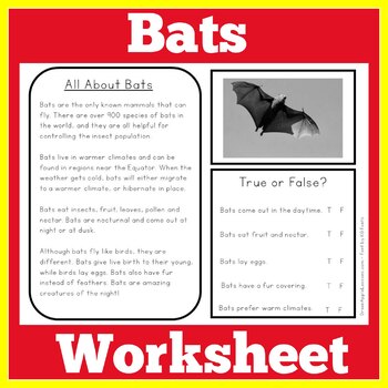 Bats Worksheet Activity by Green Apple Lessons | TpT