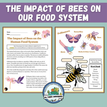 Preview of Parts of a Bee and the Impact of Bees on the Human Food System