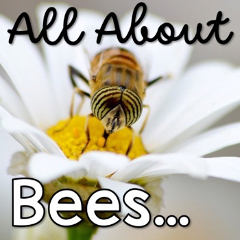 Preview of All About Bees