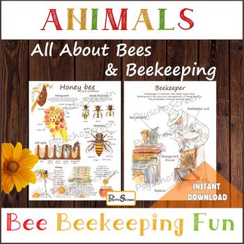 Preview of All About Bees & Beekeeping - Anatomy, Life Cycle, Honeycomb, Social structure