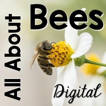 Preview of All About Bees Digital Freebie *Google