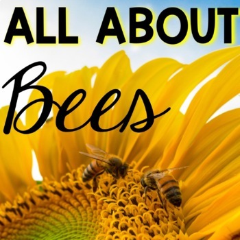 Preview of All About Bees Freebie