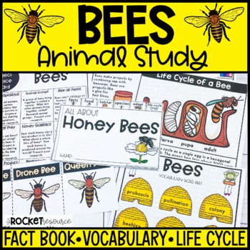 Preview of All About Bees | Honey Bees Animal Study | Spring Animals