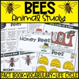 All About Bees | Honey Bees Animal Study | Spring Animals