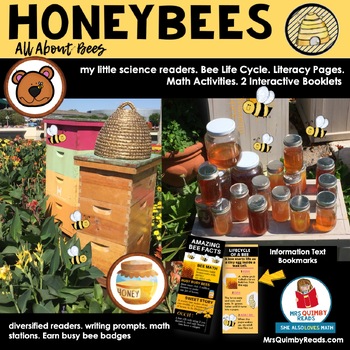 Preview of Bees | Interactive Readers | 2nd Grade ELA | Science | Summer Activities