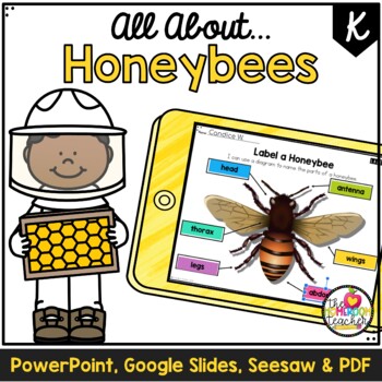 Preview of All About Bees Science Reading Comprehension Digital and Printable Activities