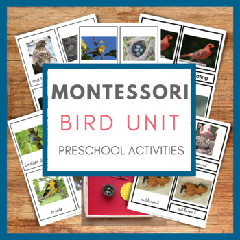 Preview of Bird Activities for Preschoolers - Montessori Bird Unit