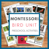 Bird Activities for Preschoolers - Montessori Bird Unit
