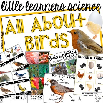 Preview of All About Birds & Chicks Science for Little Learners(preschool, pre-k, & kinder)