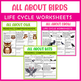 All About Birds, Crow,Bat,Owl,Parrot|BIG BUNDLE | Science 