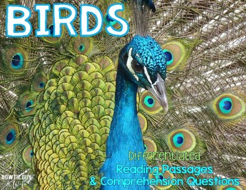 Preview of All About Birds Leveled Texts {Differentiated  Reading Passages & Questions}