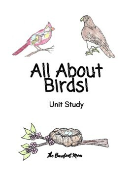 Preview of All About Birds Printable Unit Study