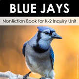 All About: Blue Jays | Kindergarten Nonfiction Book