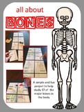 All About Bones