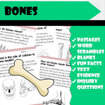 Preview of All About Bones | Science Reading Comprehensions, and worksheets