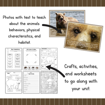 All About Brown Bears- Animal Science by Simply Schoolgirl | TpT