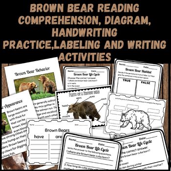 All About Brown Bears: Reading, Writing, Labeling and Handwriting True ...