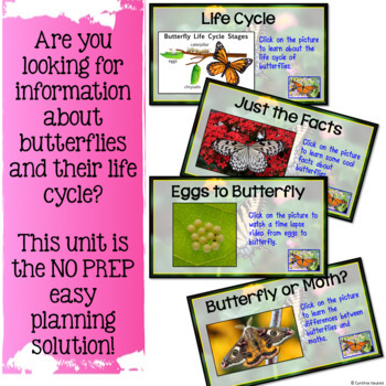 All About Butterflies Digital Research and Writing | Butterfly Life Cycle