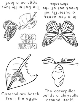 All About Butterflies Literacy Centers for Preschool, PreK, K, & Homeschool