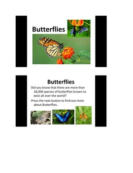 Preview of All About Butterflies PowerPoint slide show