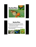 All About Butterflies PowerPoint slide show