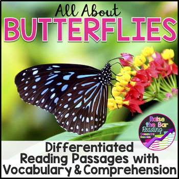 Preview of All About Butterflies Reading Passages & Activities | Butterfly Life Cycle
