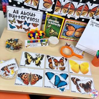EDUCATIONAL SCIENCE WE ENABLE DISCOVERY Professional Butterfly