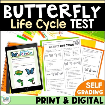 Preview of All About Butterfly Life Cycles Science Test – Butterfly Vocabulary & Stages