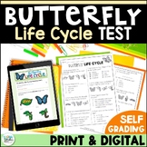 All About Butterfly Life Cycles Science Test – Butterfly V
