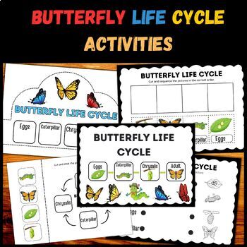 All About Butterfly: Reading, Writing, Labeling, Life Cycle and Handwriting