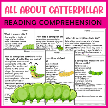 Preview of All About Caterpillar| Catterpillar life cycle | Science Reading Comprehensions