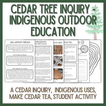 Preview of Cedar Tree Inquiry and Activity - Indigenous Outdoor Education