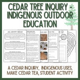 Cedar Tree Inquiry and Activity - Indigenous Outdoor Education