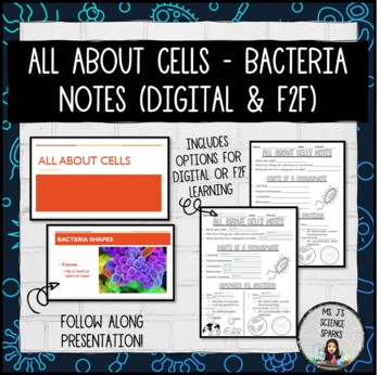 Preview of All About Cells - Bacteria Doodle Notes