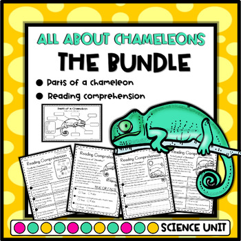 Preview of All About Chameleon Facts - Reading Comprehension and Parts of a Chameleon