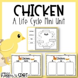 Chicken Life Cycle