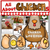 All About Chickens and The Life Cycle of a Chicken | Chick