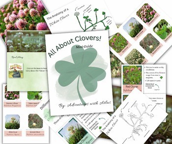 Preview of All About Clovers Mini Guide