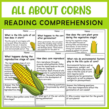 Preview of All About Corn | Corn Life Cycle | Science Reading Comprehensions