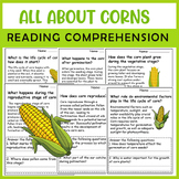 All About Corn | Corn Life Cycle | Science Reading Comprehensions