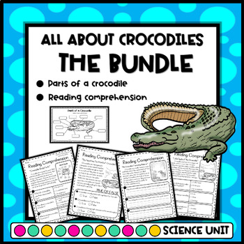Preview of All About Crocodile Facts - Reading Comprehension and Parts of a Crocodile